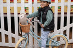BOBBIN BIKES - Vélo Enfant Gingersnap 16" - Vert Pâle