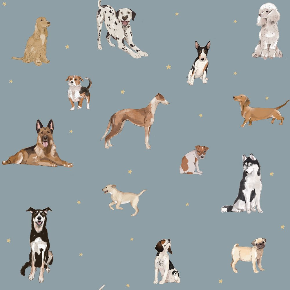 DEKORNIK - Papier Peint Pour Enfants Les Chiens Sont Le Meilleur - Bleu
