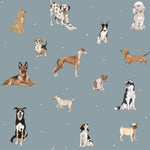 DEKORNIK - Papier Peint Pour Enfants Les Chiens Sont Le Meilleur - Bleu