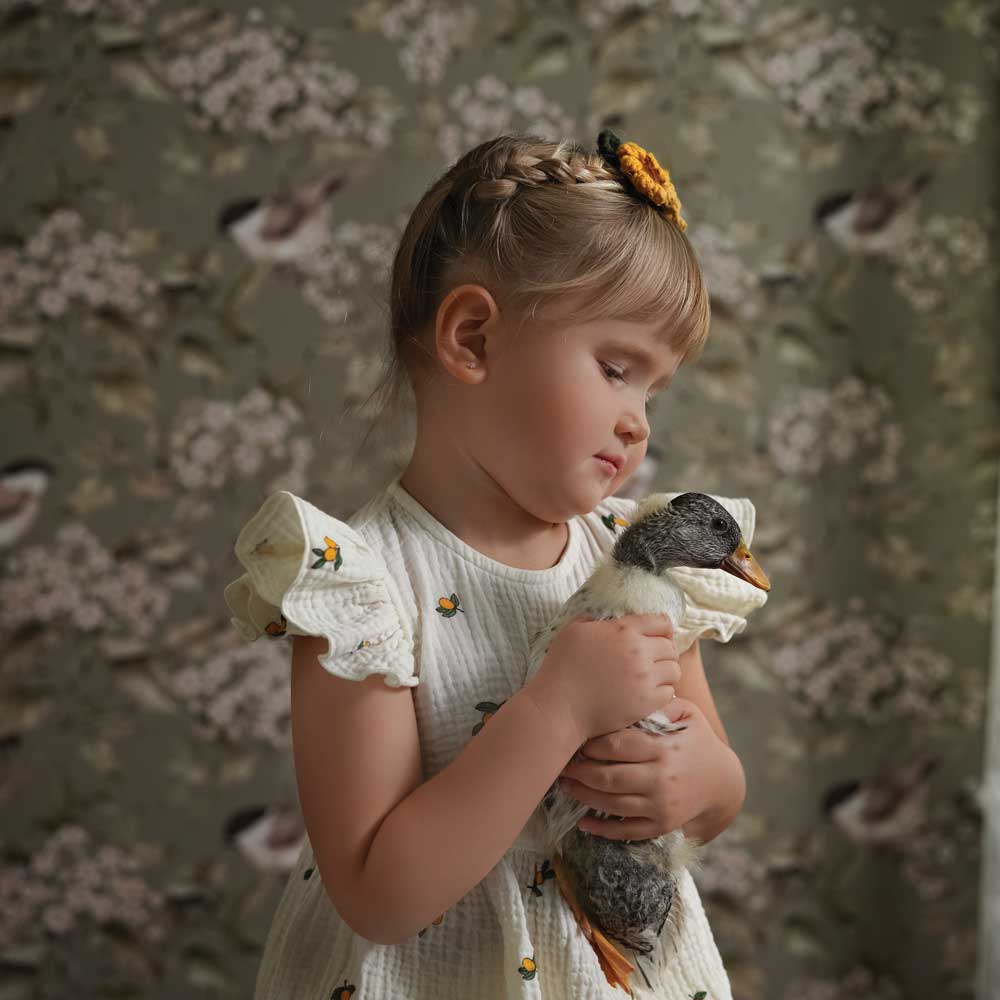 DEKORNIK - Papier Peint Pour Enfants Oiseaux Et Printemps Vert